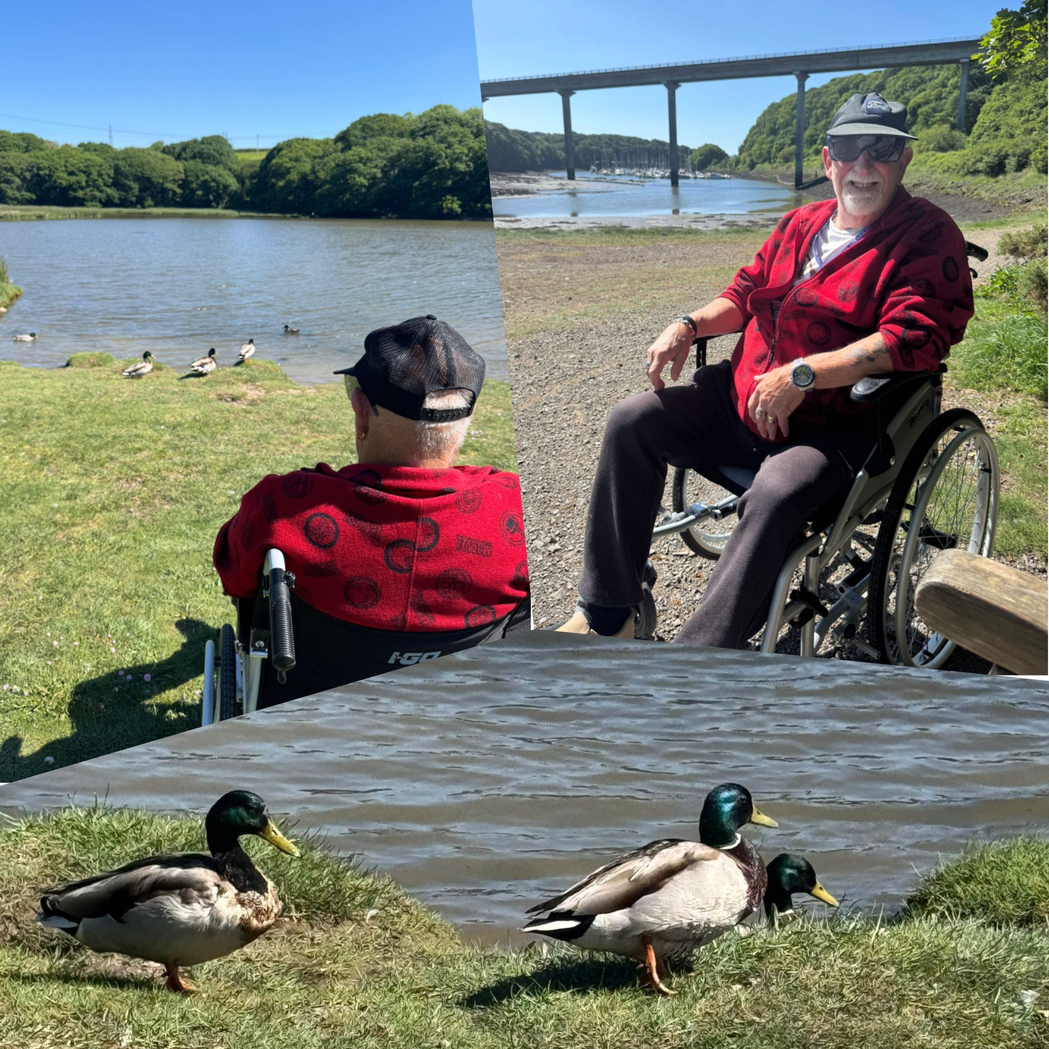 Team member providing care